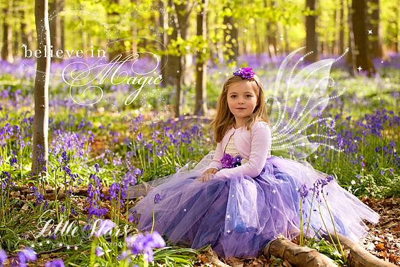 Séance photo Fée / Princesse