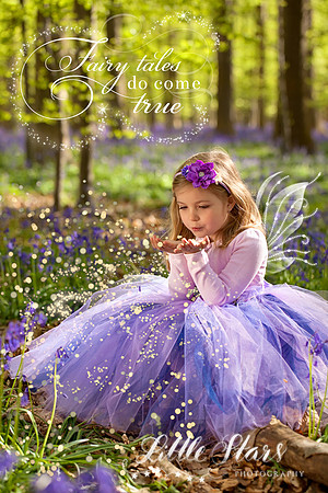 Séance photo Fée / Princesse